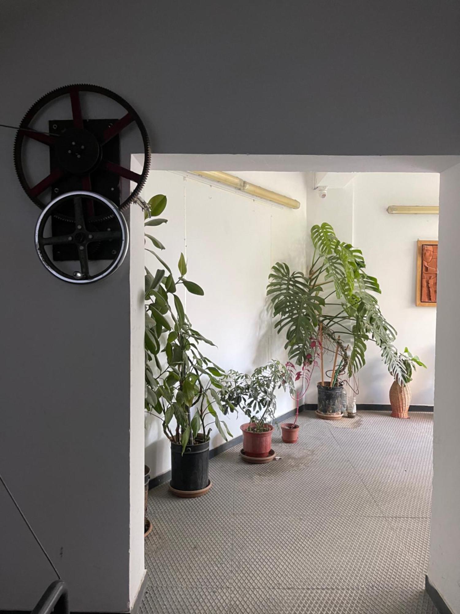 Flex Apartment Tirana Exterior photo